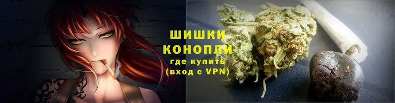 Шишки марихуана Ganja  Старая Русса 